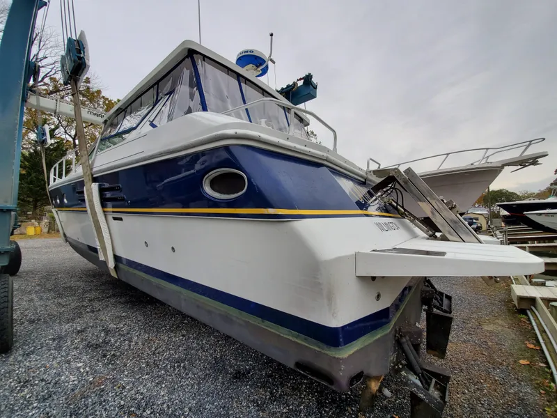 Slide: The Image of Giorgi 46 1993 - 76