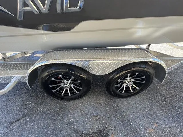 Slide: The Image of Avid 23 Mag 2024 - 16