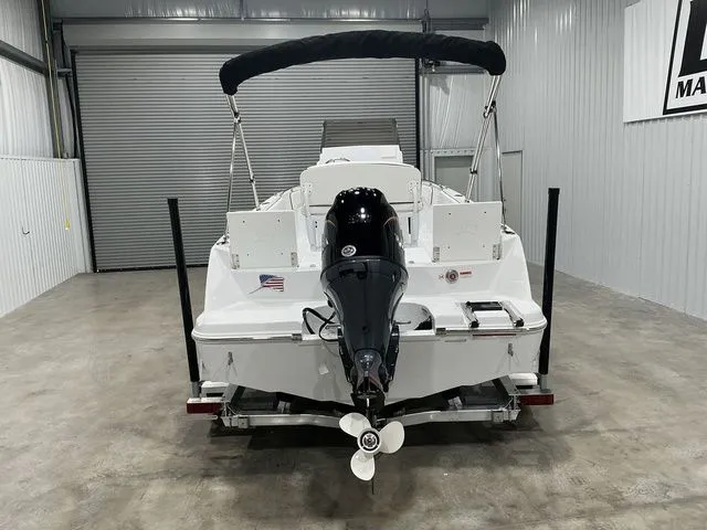 Slide: The Image of Stingray 173 CC 2026 - 3