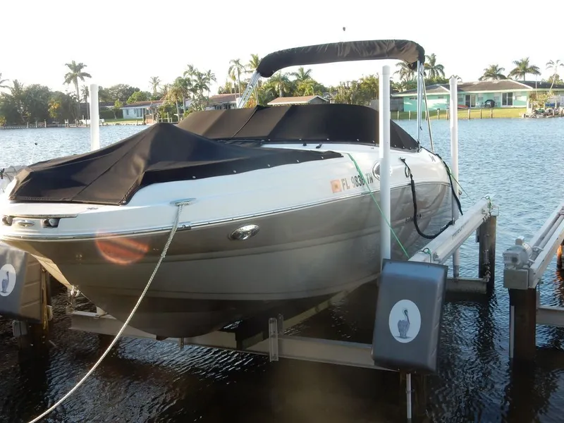 Slide: The Image of Stingray DC211 2023 - 1