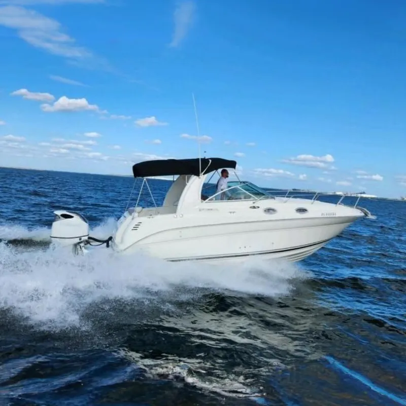 The Image of 2003 Sea Ray Sundancer 260 cruising on open water under a clear blue sky. - 0