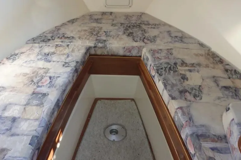 Slide: The Image of 2001 Shamrock 26 boat interior with patterned cushions and carpeted floor. - 9