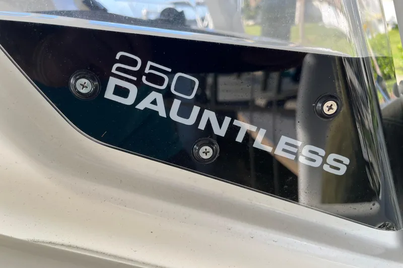 Slide: The Image of Close-up of 2024 Boston Whaler 250 Dauntless boat model nameplate. - 10