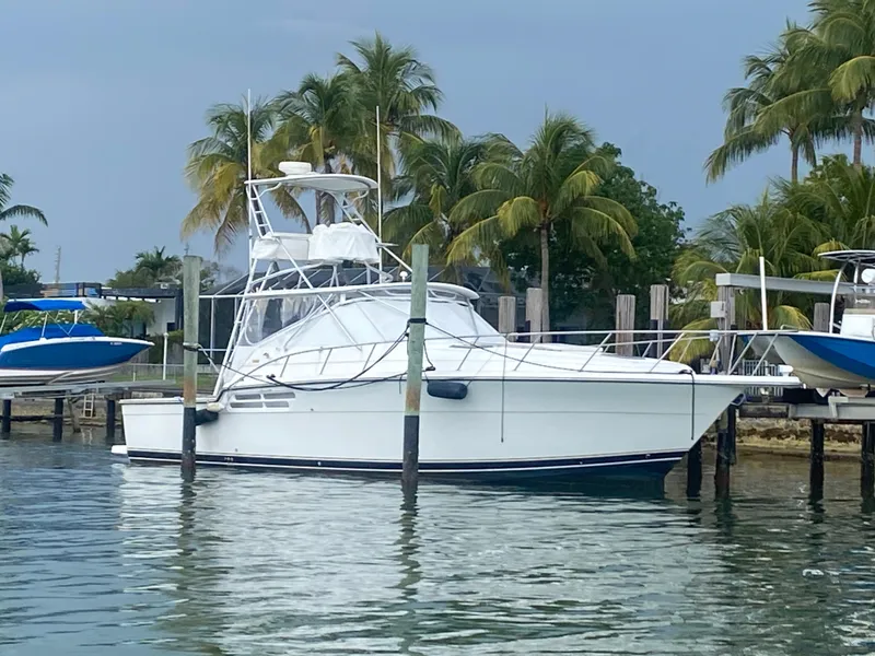 The Image of 1999 Tiara Yachts 43 Open docked near palm trees. - 1