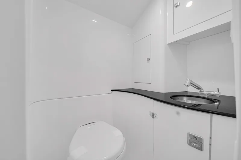 Slide: The Image of Buddy Davis Pininfarina 2025 - 80