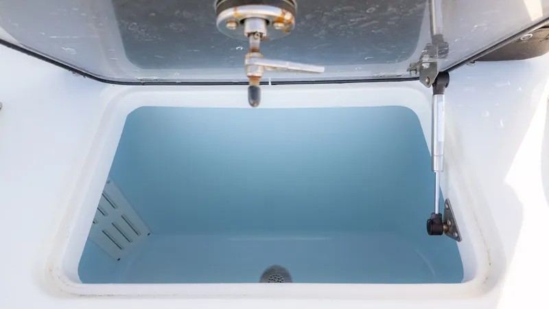 Slide: The Image of World Cat 295 CC 2024 - 10