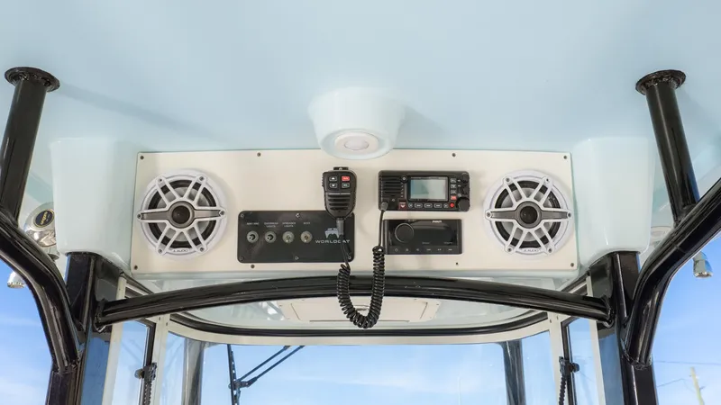 Slide: The Image of World Cat 295 CC 2024 - 11