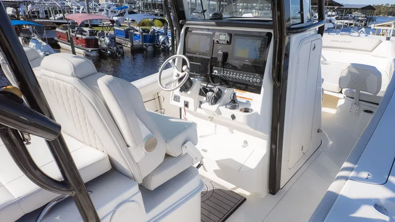 Slide: The Image of World Cat 295 CC 2024 - 12