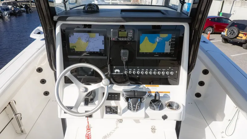 Slide: The Image of World Cat 295 CC 2024 - 13