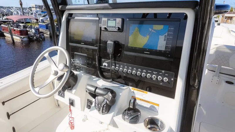 Slide: The Image of World Cat 295 CC 2024 - 14