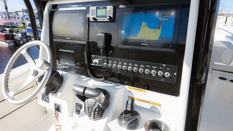 Slide: The Image of World Cat 295 CC 2024 - 15