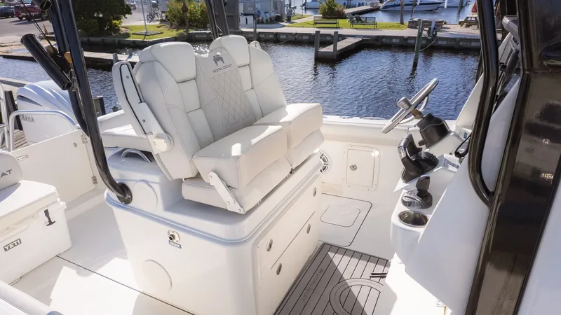 Slide: The Image of World Cat 295 CC 2024 - 16