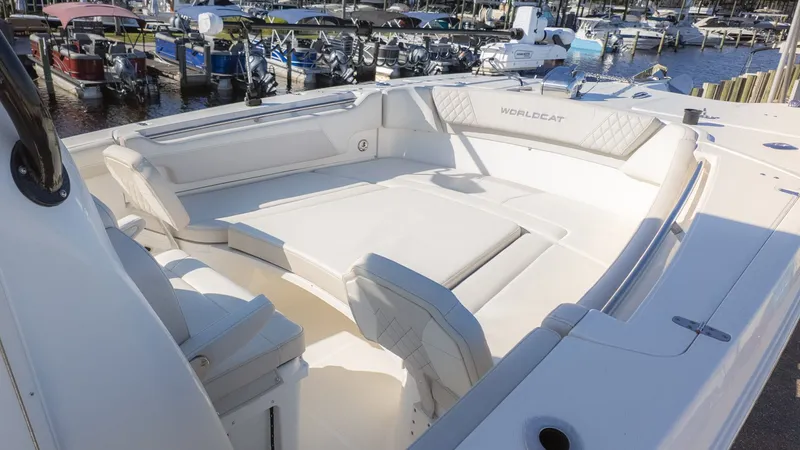 Slide: The Image of World Cat 295 CC 2024 - 17