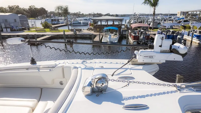 Slide: The Image of World Cat 295 CC 2024 - 19