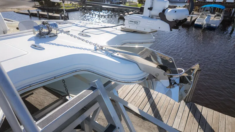 Slide: The Image of World Cat 295 CC 2024 - 20