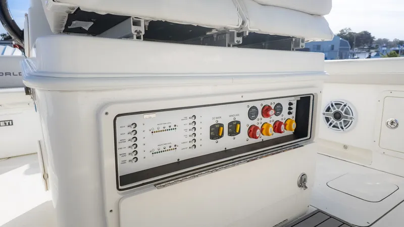 Slide: The Image of World Cat 295 CC 2024 - 21