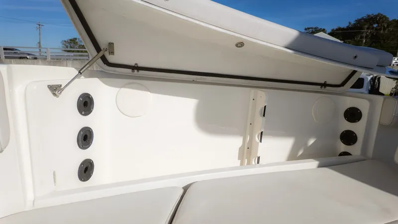 Slide: The Image of World Cat 295 CC 2024 - 22