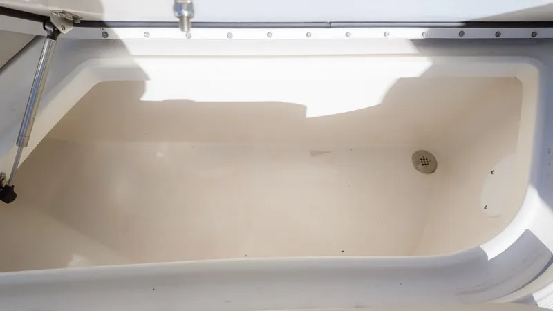 Slide: The Image of World Cat 295 CC 2024 - 23