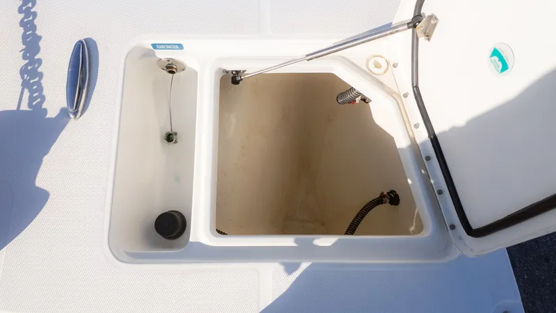 Slide: The Image of World Cat 295 CC 2024 - 24