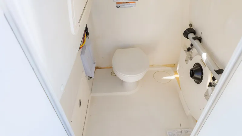 Slide: The Image of World Cat 295 CC 2024 - 25