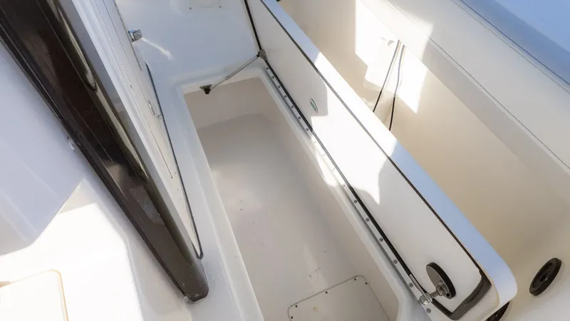 Slide: The Image of World Cat 295 CC 2024 - 26