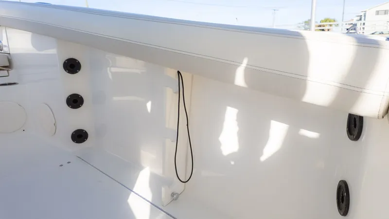 Slide: The Image of World Cat 295 CC 2024 - 27