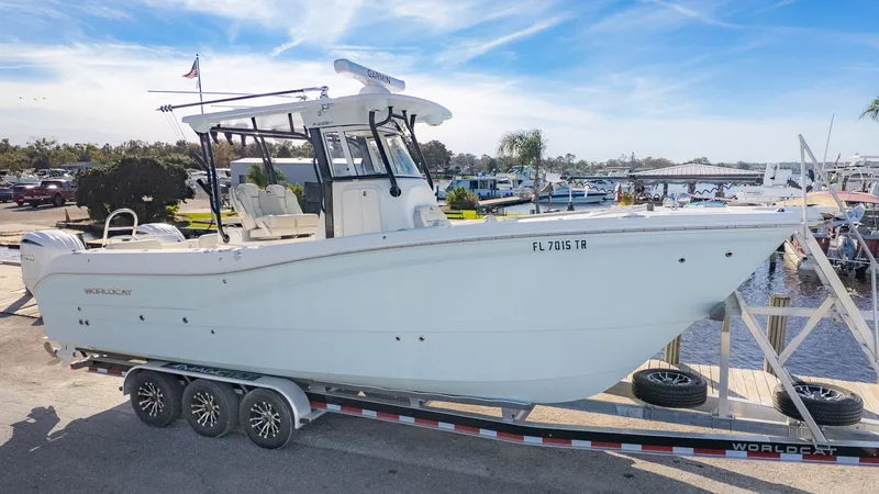 Slide: The Image of World Cat 295 CC 2024 - 3