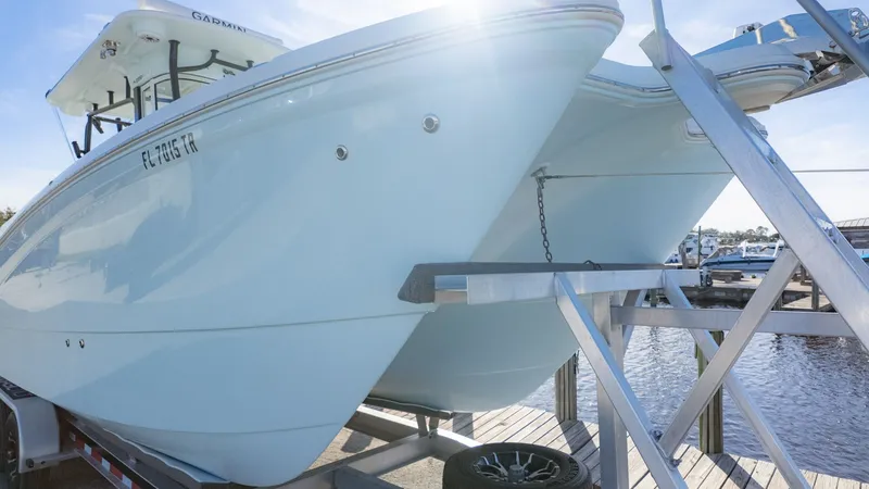 Slide: The Image of World Cat 295 CC 2024 - 4