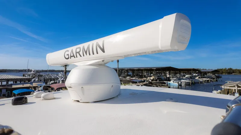 Slide: The Image of World Cat 295 CC 2024 - 5