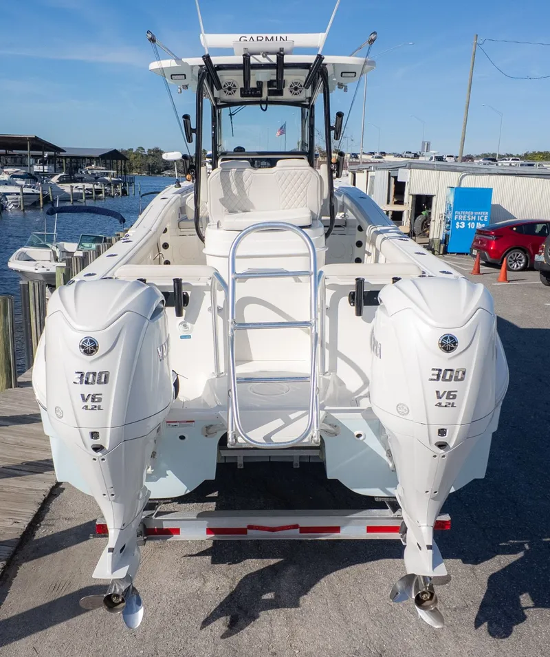 Slide: The Image of World Cat 295 CC 2024 - 6