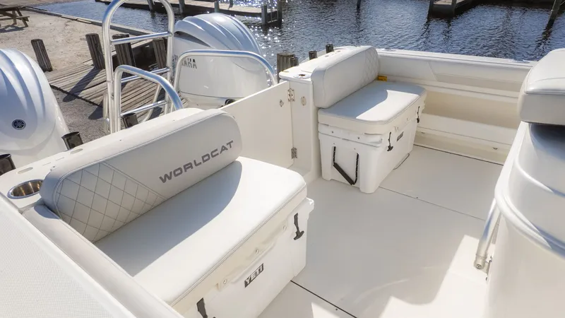 Slide: The Image of World Cat 295 CC 2024 - 7