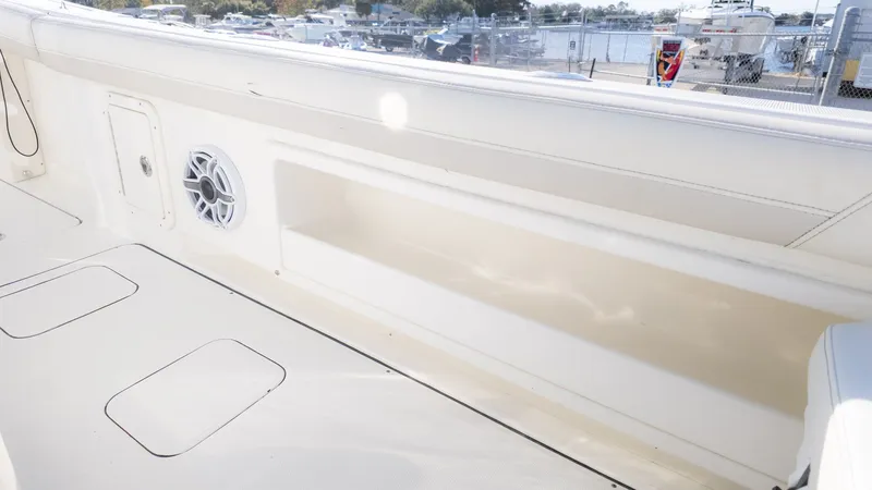 Slide: The Image of World Cat 295 CC 2024 - 8