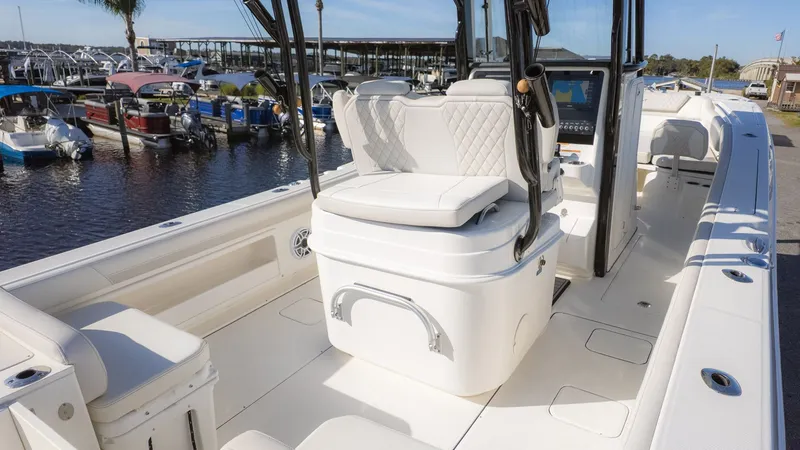 Slide: The Image of World Cat 295 CC 2024 - 9