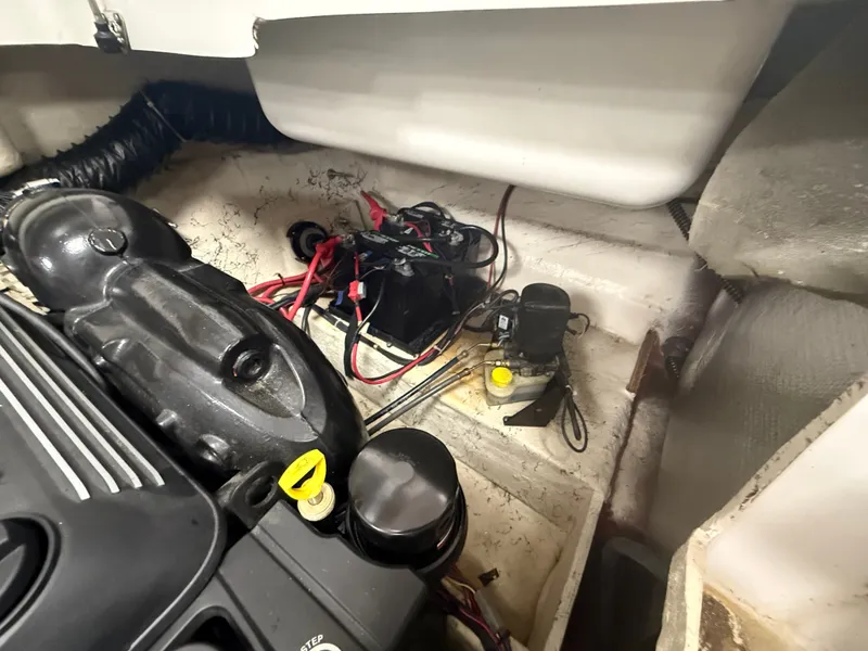 Slide: The Image of Hurricane Sun Deck 217 2020 - 19