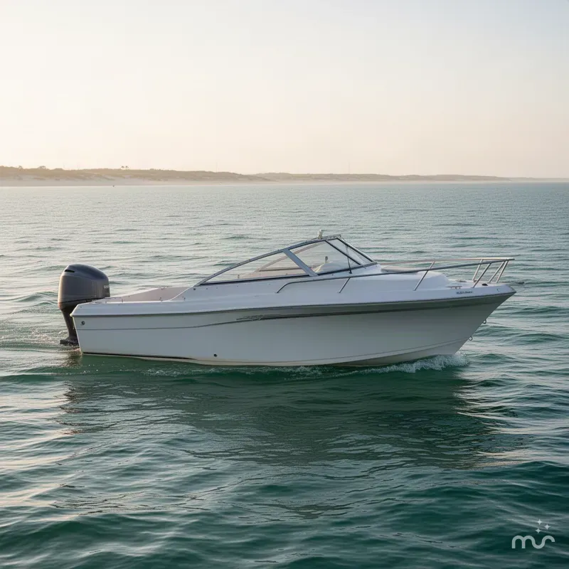 The Image of Larson 254 Cabrio 2002 - 0