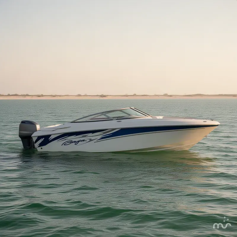 The Image of Baja 242 Islander 2007 - 0
