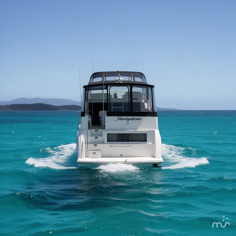 The Image of Carver Yachts 325 Motor Yacht 1995 - 0