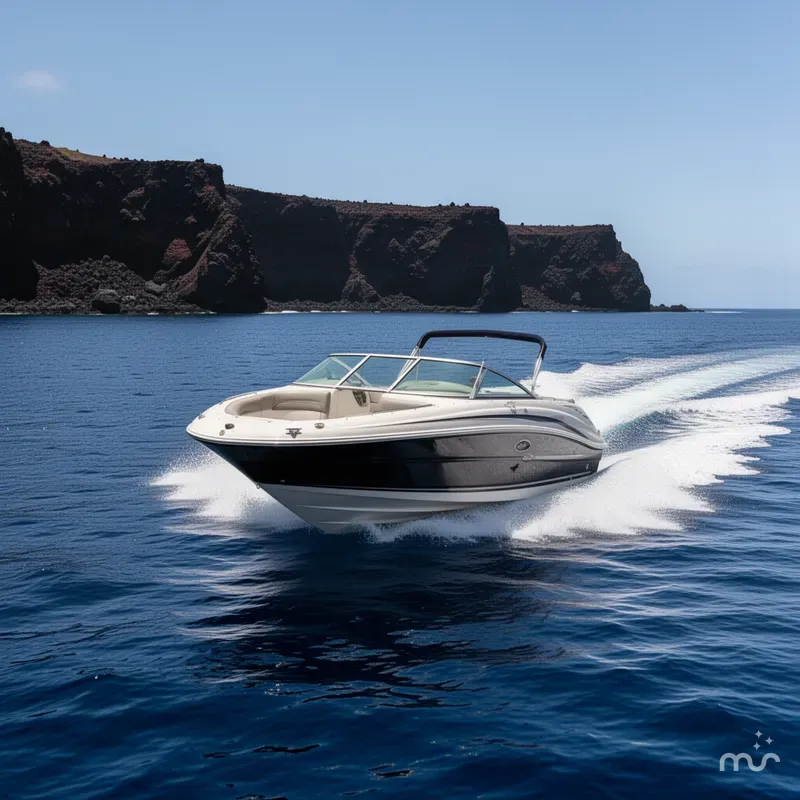 Slide: The Image of Sea Ray Bow Rider 2003 - 2