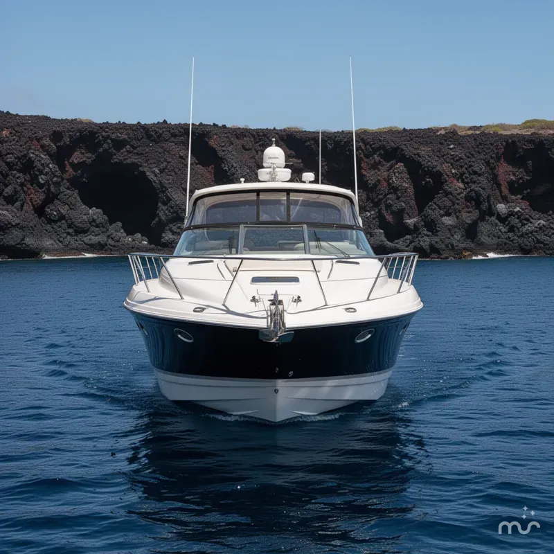 Slide: The Image of Regal 4460 Regal 2009 - 1
