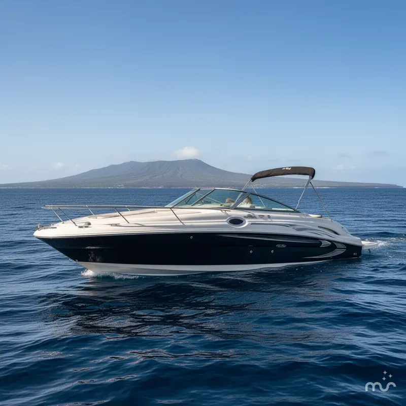 The Image of Sea Ray 270 Sundeck 2005 - 0