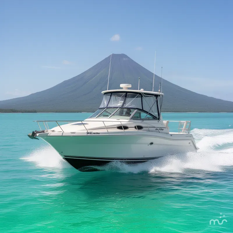 The Image of Sea Ray 290 Amberjack 2004 - 0