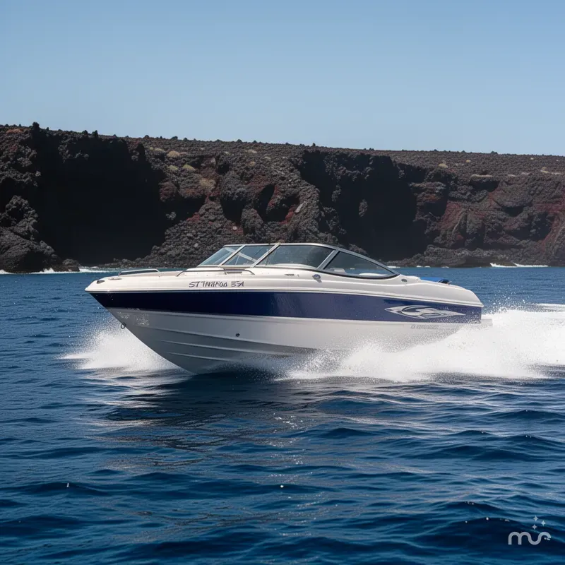 Slide: The Image of Stingray 195 LX 2009 - 2