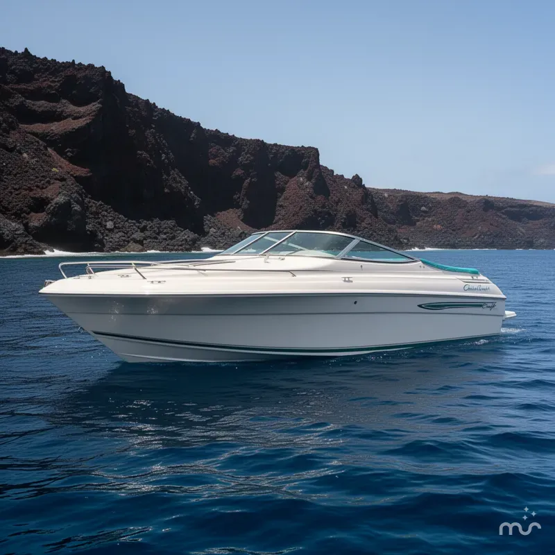 The Image of Chris-Craft 238 Concept 1993 - 0