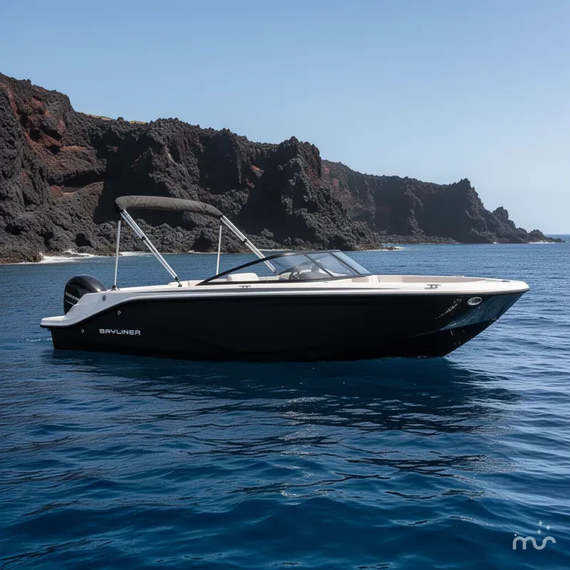 Slide: The Image of Bayliner Element M19 2024 - 2