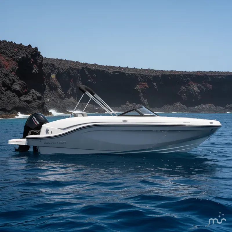 The Image of Bayliner DX 2000 2024 - 0
