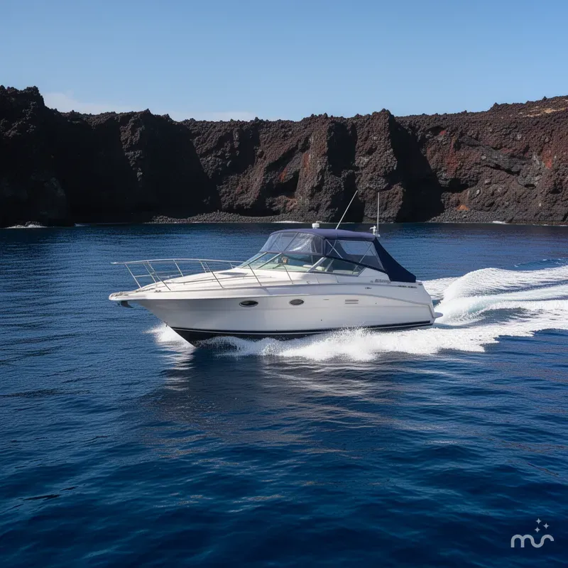 Slide: The Image of Cruisers 3120 Aria 1997 - 4