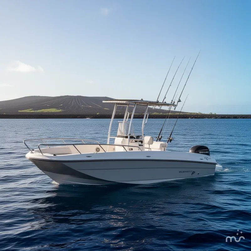 The Image of Bayliner Element F21 2017 - 0
