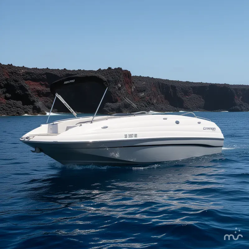 The Image of Sea Pro Citation 2400 2022 - 0