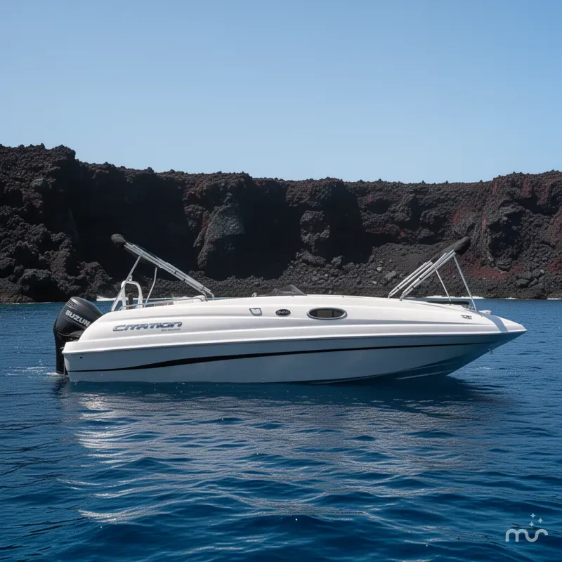 Slide: The Image of Sea Pro Citation 2400 2022 - 2