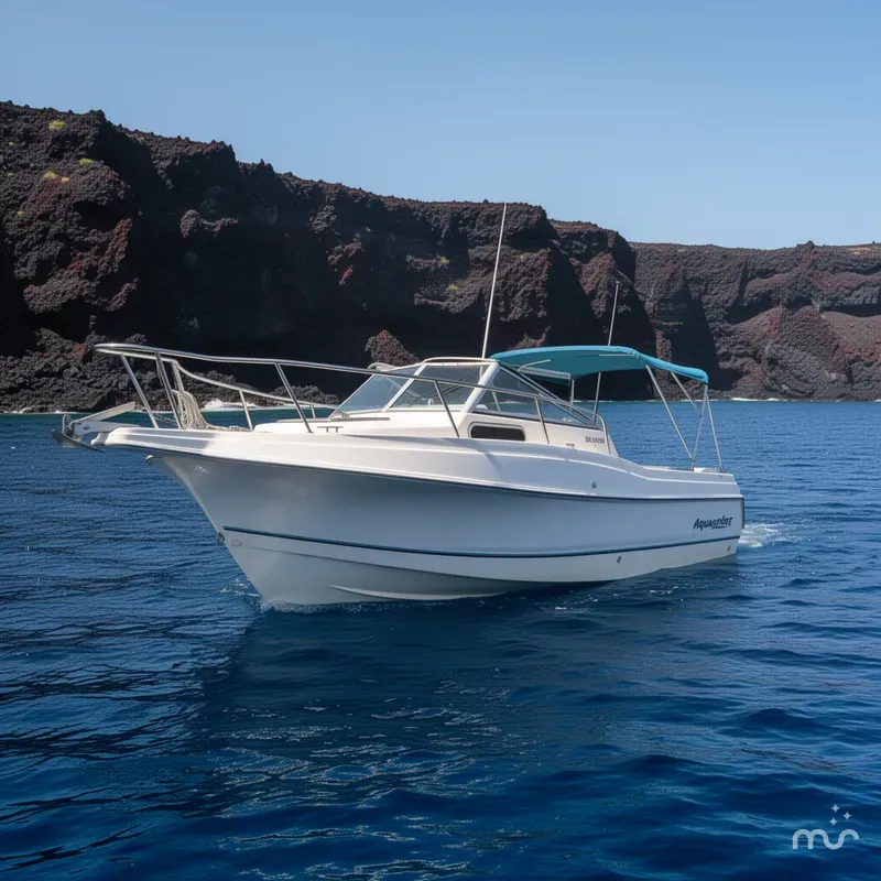 Slide: The Image of Aquasport 245 Explorer 1999 - 2